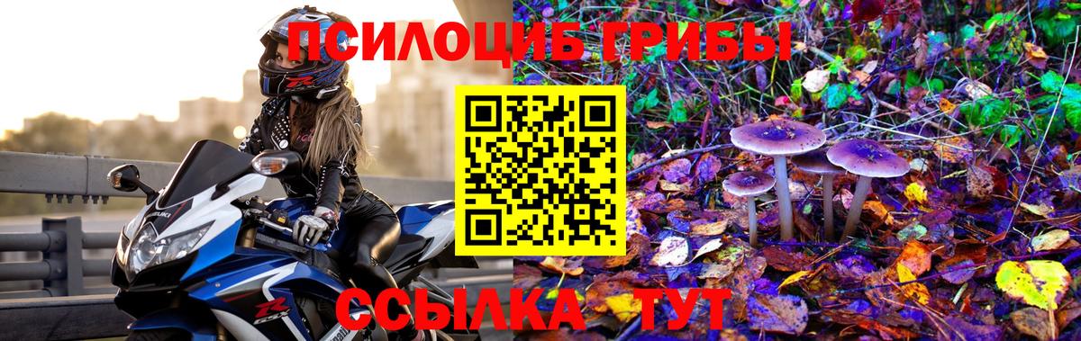 Псилоцибиновые грибы Magic Shrooms  что такое наркотик  Звенигород  Вход с VPN 