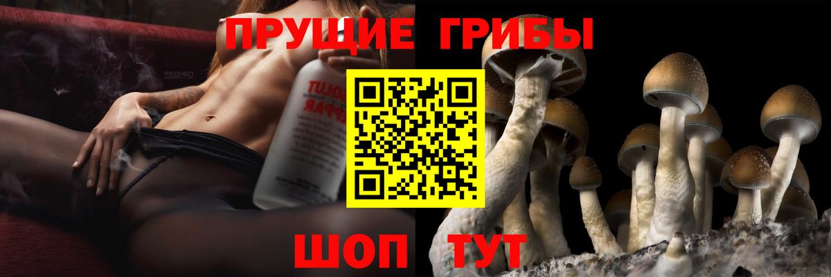Псилоцибиновые грибы мухоморы Звенигород